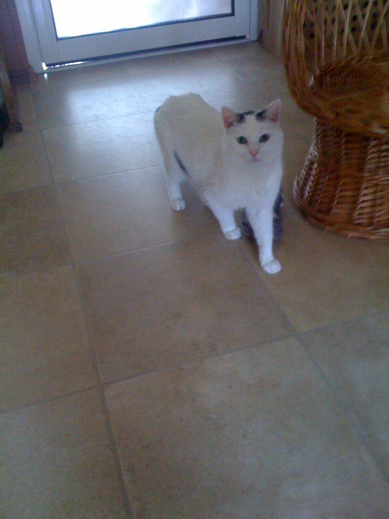 img_0226 img_0226