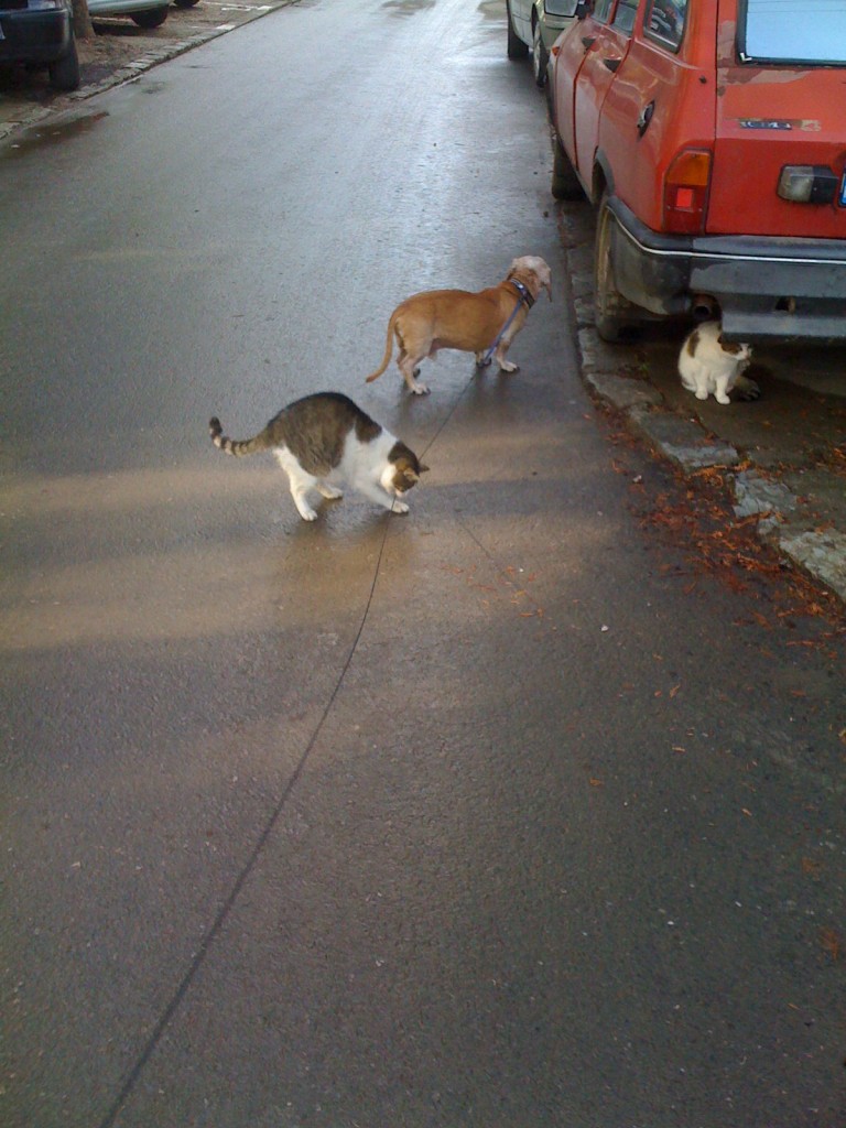 img_0434 img_0434
