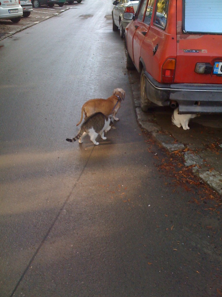 img_0435 img_0435