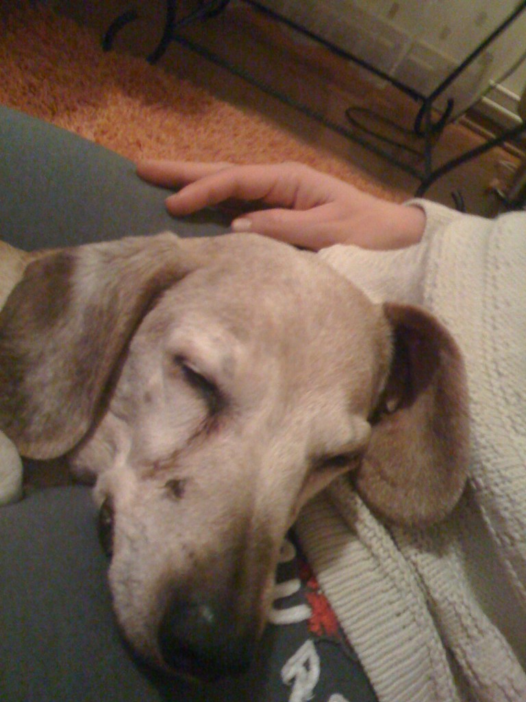 img_0643 img_0643